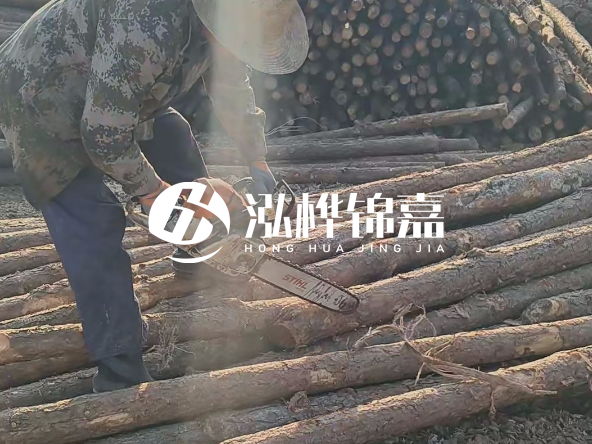 廣東打樁木源頭廠家泓樺錦嘉 - 如何選擇適合特定邊坡的松木樁？