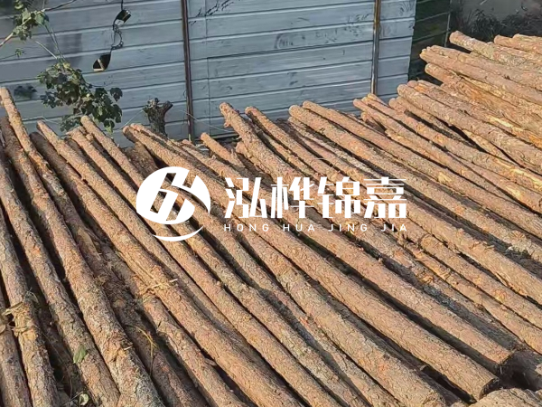 松木樁打樁后清淤怎么處理？有沒有全包的公司？