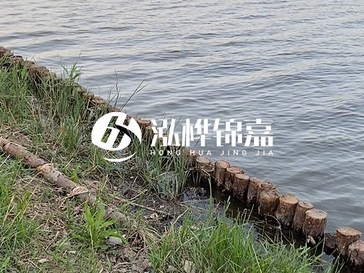 防洪松木樁施工重要性？河道打木樁的位置怎么確定？